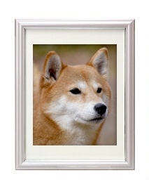 犬のパステルカラー遺影額